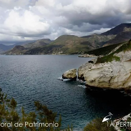 Patrimonio Homestay *
